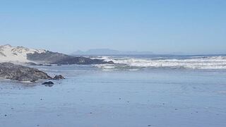 Seagulls Place | Grotto Bay Accommodation