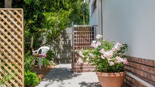 Rose Tree | Accommodation Rondebosch