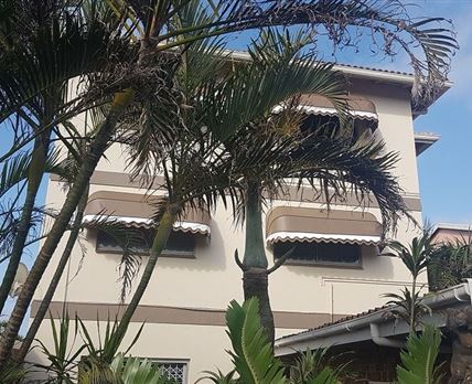 Bluff Tradewinds
