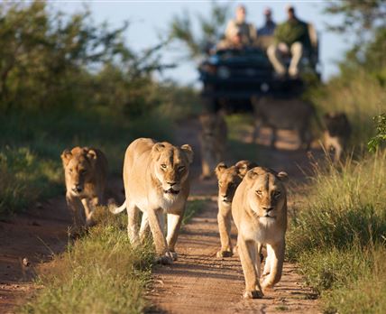 2 Night Classic Self-Drive Safari Package