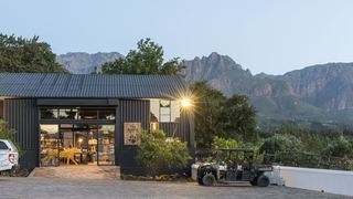 Cheetah Experience Ashia | Accommodation Paarl