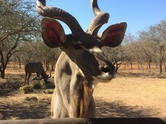 Berghaan Bush Cottage | World Specials