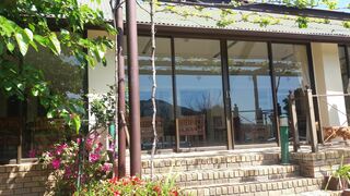 Bakkies Mini Resort | Accommodation Bainskloof