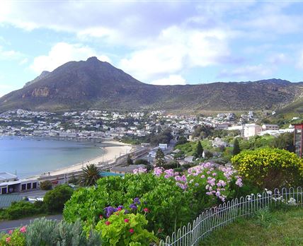 Bay Splendour