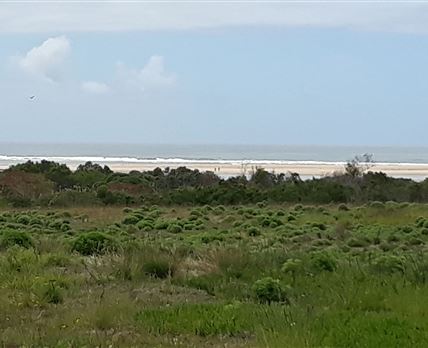 Plettenberg Bay Primary School Caravan Park