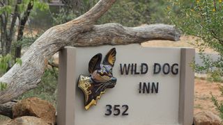 Wild Dog Inn | Self-catering Hoedspruit
