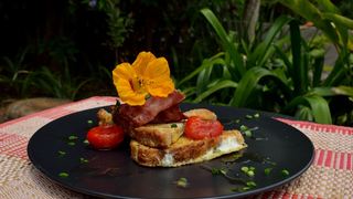 Vuna Valley Lodge | Accommodation Port Edward