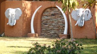 Safari | Hazyview Accommodation