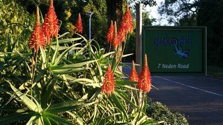 Gecko Hill | Montrose Accommodation
