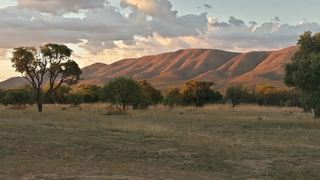Feracare Wildlife Centre | Rooiberg Accommodation