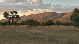 Feracare Wildlife Centre | Accommodation Rooiberg
