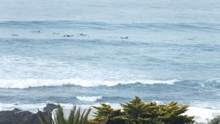 Ocean Tides | Accommodation Kini Bay