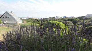 Ninas' Self-Catering | Self-catering Hermanus