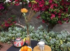 Silwood Cottages | Rondebosch Accommodation