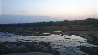 Marloth Havens | Accommodation Marloth Park