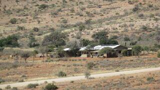 Barking Gecko B & B | Hammerstein Accommodation