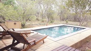 Jimali Bush Retreat | Accommodation Hoedspruit