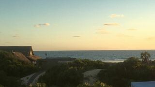 Neptune's Lodge | Praia da Barra Specials