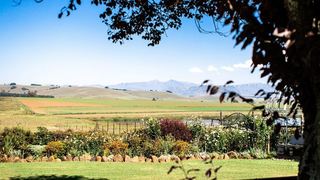 Chikanka | Himeville Accommodation