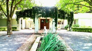 Rose & Ivy Guesthouse | Makhado (Louis Trichardt) Self-catering