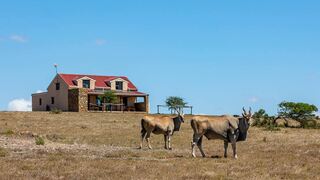 Die Rooidakhuis | Self-catering De Hoop Nature Reserve