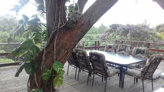 Palm View Sunrise | Palm Beach Accommodation
