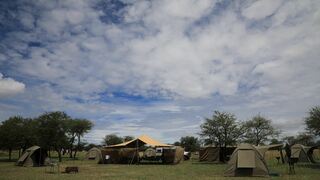 Great Migration Camps - Serengeti | Africa Specials