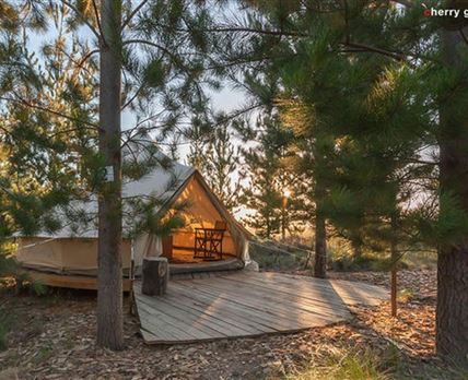 Cherry Glamping
