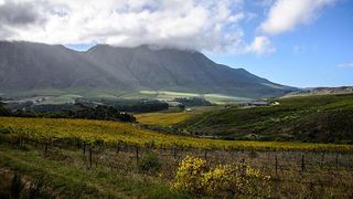 Clouds End Farm | Hermanus Accommodation