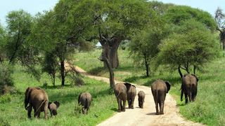 7 Night Wild Side Camping Safari Package | Accommodation Bwejuu