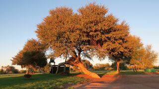 Kameeldoring Camping | Augrabies Accommodation