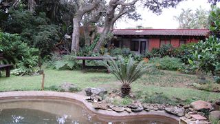 Ducktree Cottage | Africa Specials