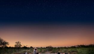 RockFig | Accommodation Timbavati Reserve