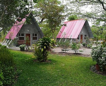 Happy Forest B&B