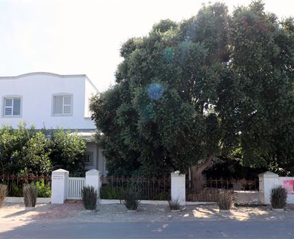 Wildebosch
