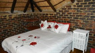 The Daniel'lo | Kruger Surrounds Specials