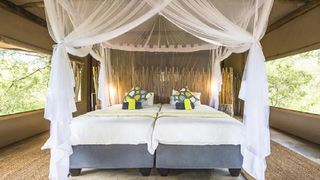 Leopard Plains | Accommodation Maun