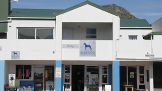 Blue Dog Accommodation | Accommodation Pringle Bay