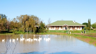 Hoopenburg Guest House | Stellenbosch Accommodation