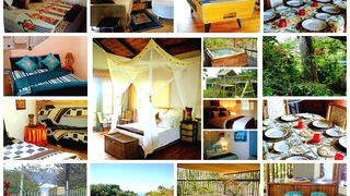 Amapozzi | Accommodation Mtwalume