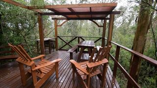 Fern Gully Forest Cabins | Rheenendal Accommodation