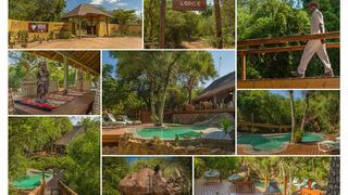 Panzi Lodge | Kruger National Park Specials