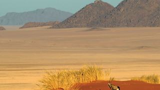 The Best of Namibia Part 1 | Self-catering Hohewarte