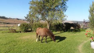 Grantleigh Farm | Accommodation Mooi River