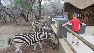African Bush Backpackers | Marloth Park Accommodation