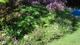 MAYFIELD COTTAGES | Rondebosch Accommodation