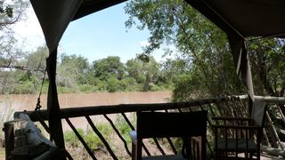 Hogs Creek | Botswana Specials