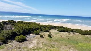 Milkwood 421 | Self-catering Jeffreys Bay