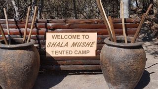 Shala Mushe Tented Camp @ Lodge | Accommodation Mabalingwe Nature Reserve