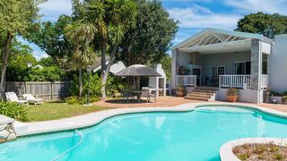 Warblers I | Alphen Self-catering